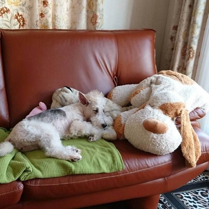 A32c8499 a65b 4dda 9ed5 f32e6659086d