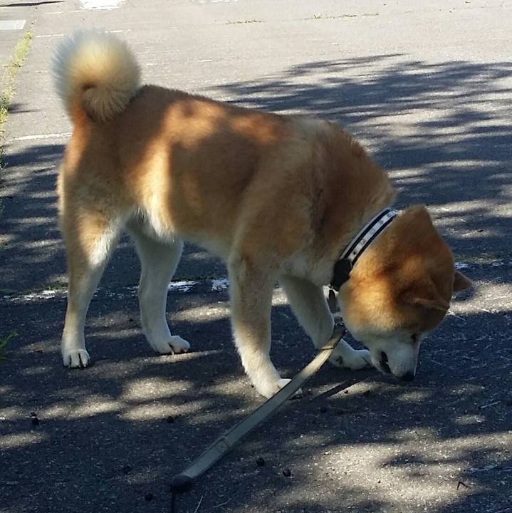 A32c969f b7fc 4aa3 a2f4 98aa598255c2