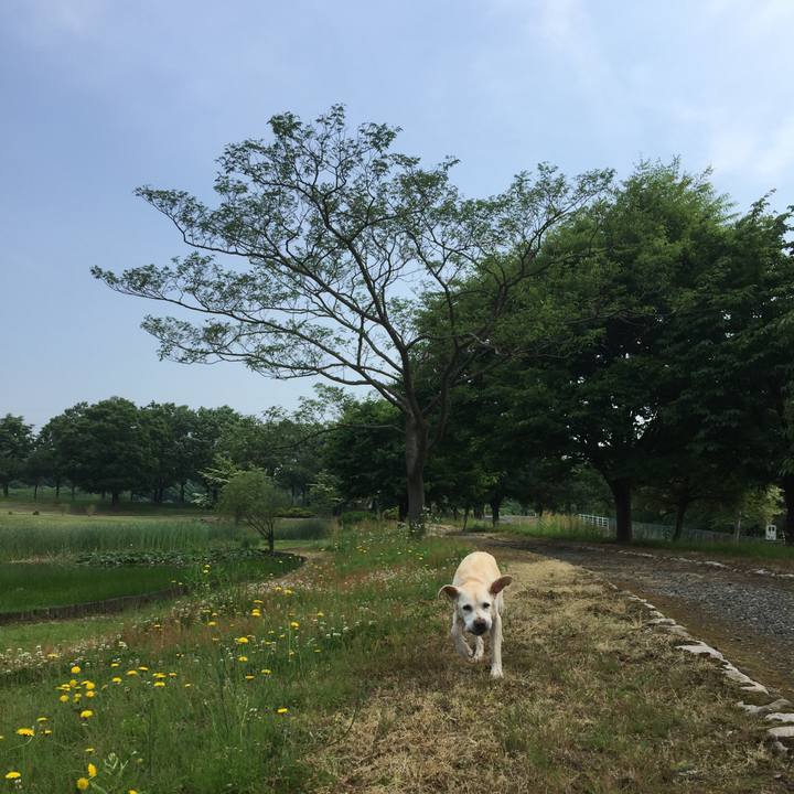 A32d50ec 3ca7 44a7 8c33 064e3c3e9fd4