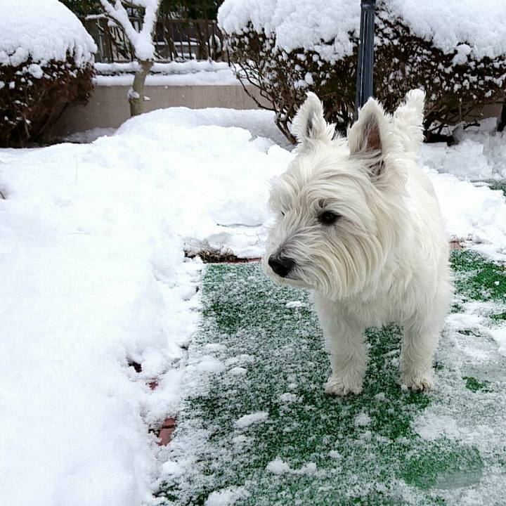 A32d78ab 8031 4879 b143 1bdc6065df29