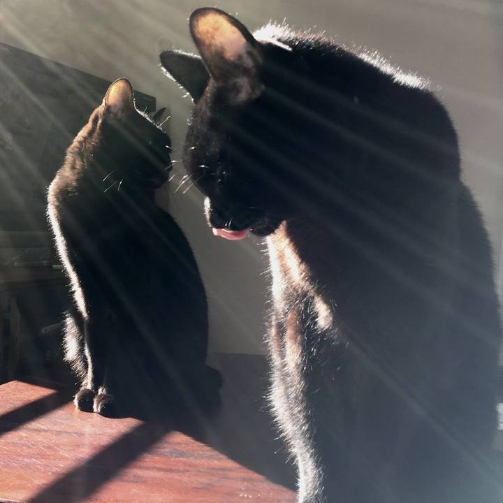 A32d956f 1e48 4da4 8c2a cbd6160dc4e7