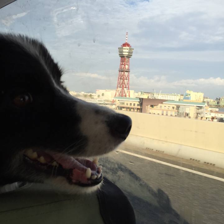 A32dad7d 0df0 49e3 9c2c aaf8c4940853