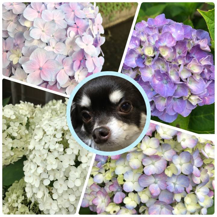 A32ddb2a e2cc 4eef 8c3b 07b04641226f