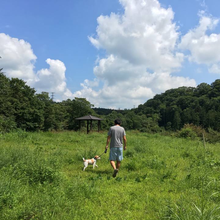 A32df560 9e76 467c a995 8fb8d0d3a952