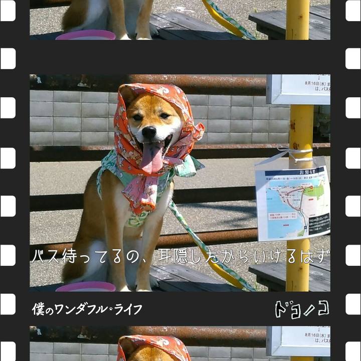 A32df9d0 af36 4d94 bd1f 405f5ba9390d