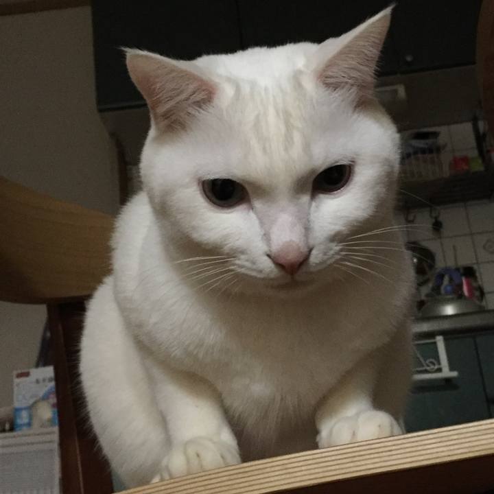 A32ea85c 1a49 4dd2 95fc f3c9cb0f526b