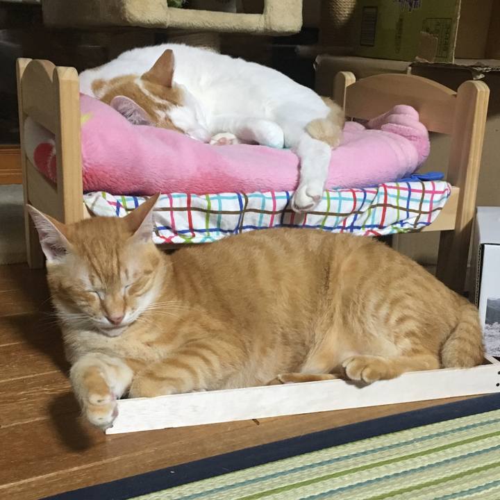 A32ecd13 a52e 459f 8497 91ff95036bb8