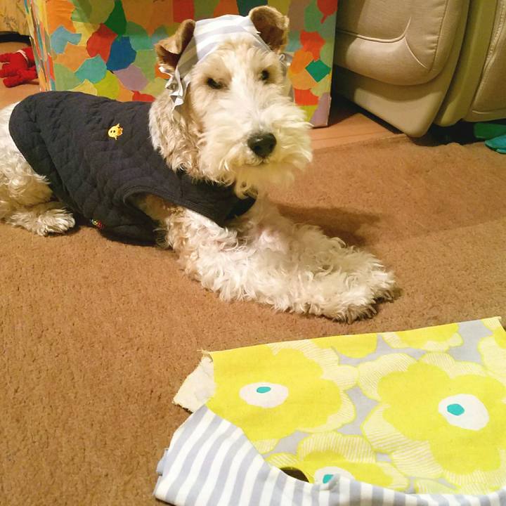 A32efc17 82a8 4791 a03b 87c54e97ffa1