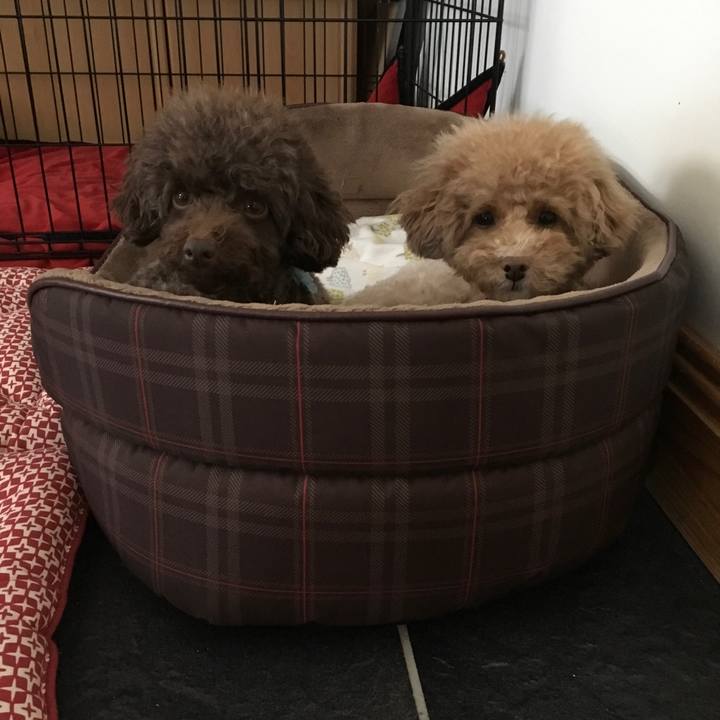 A32f4912 02b9 492e a52d 4d07326094a7