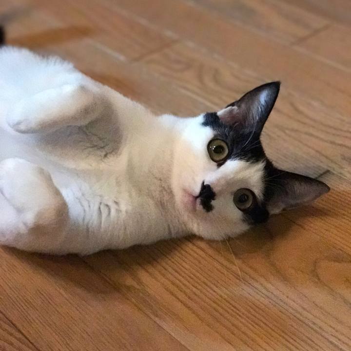 A32f595e 47e3 47b1 a04d 2a78394263f9