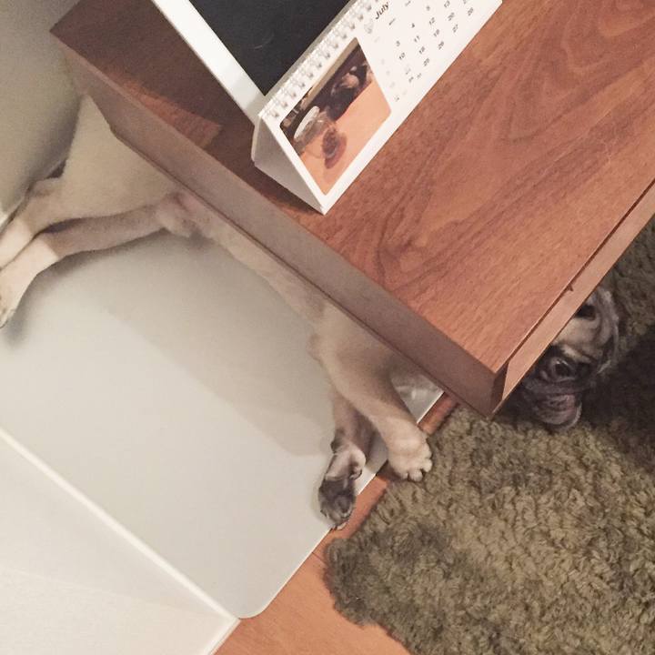 A32fa5c7 ed7e 41b4 8046 e63d277f4c0a