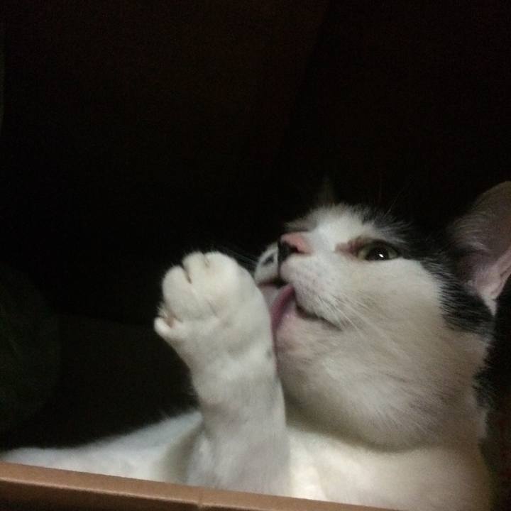 A32fddb9 acd2 49b2 80f3 f2917c41d5a8