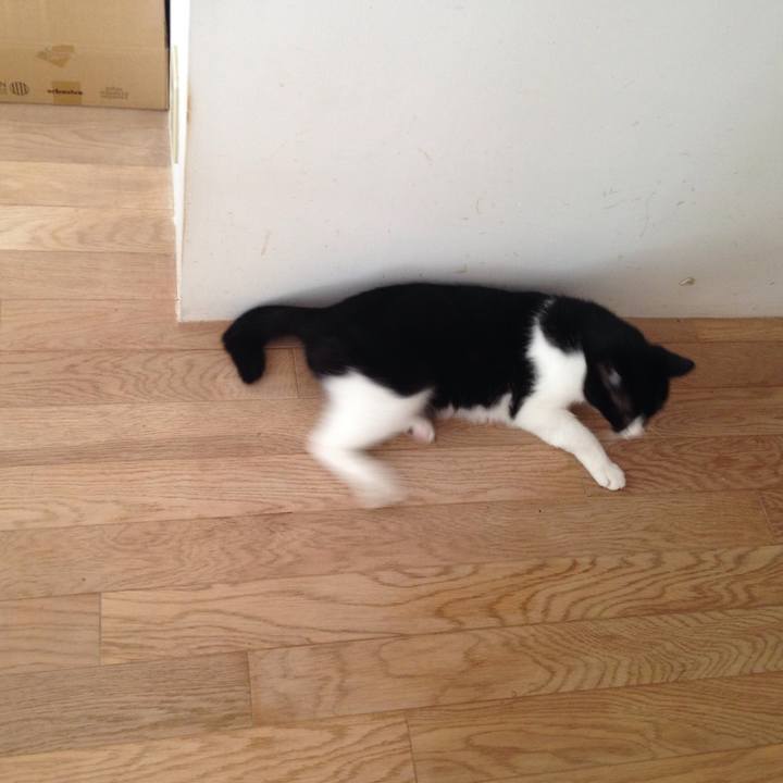 A3305a12 3bb3 4b7f b1ee d7a74a934d77