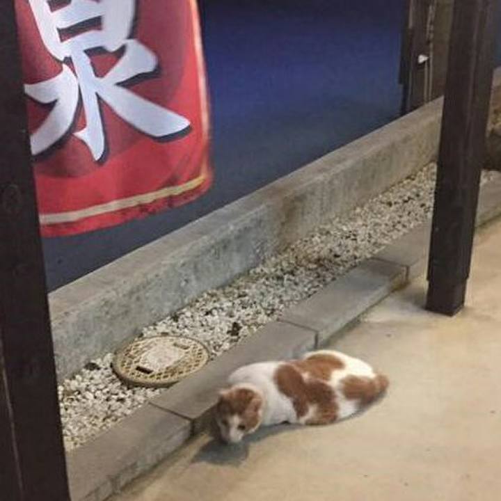 A3308ee7 92f4 45b3 8aac e5bffd003f1a