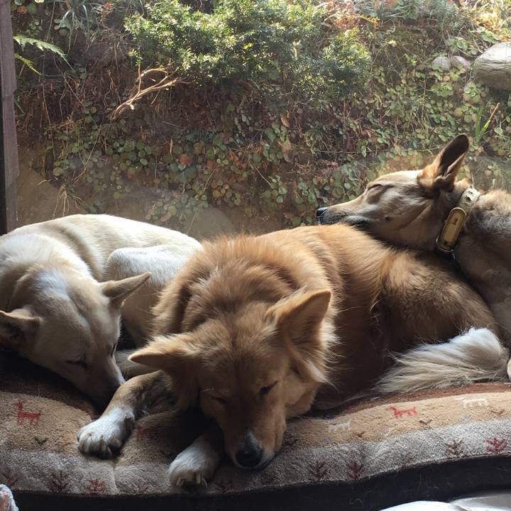 A3311eaa 1ec0 4ba0 94d3 1729ea2701a7