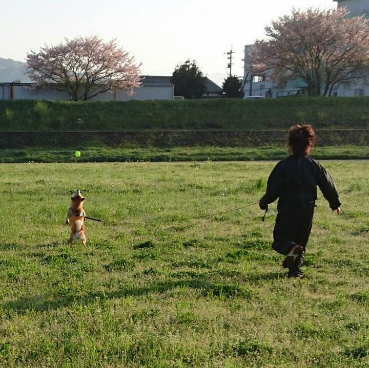 A331823f 9db6 41a6 abb6 84ff8ded7247