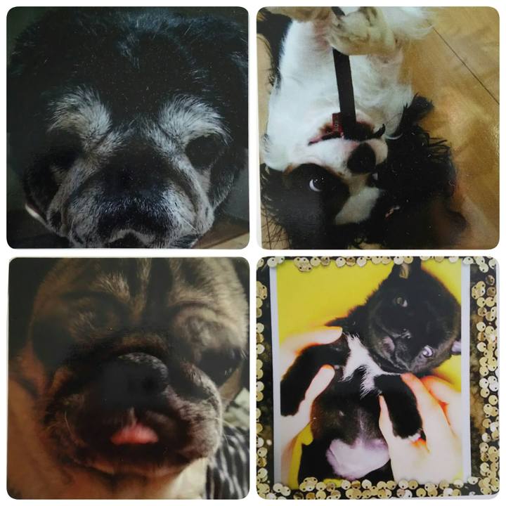 A331cd02 b552 4698 97e3 61a4226e7e17