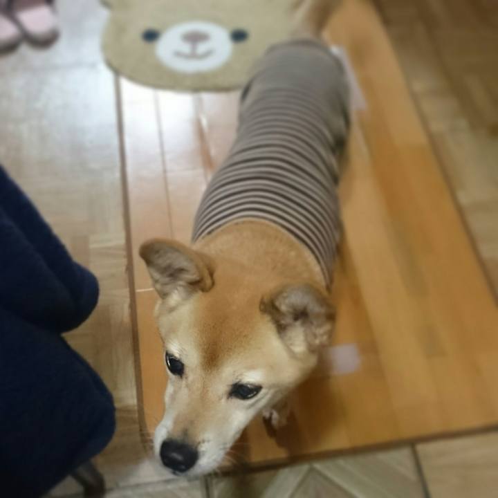 A331d992 4d1d 43f3 aca2 8ee1f9c1f981