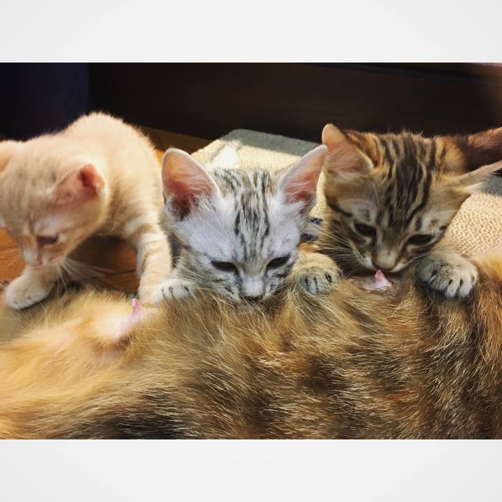 A331e144 117f 4eca 8e9a 315f2da4cf02