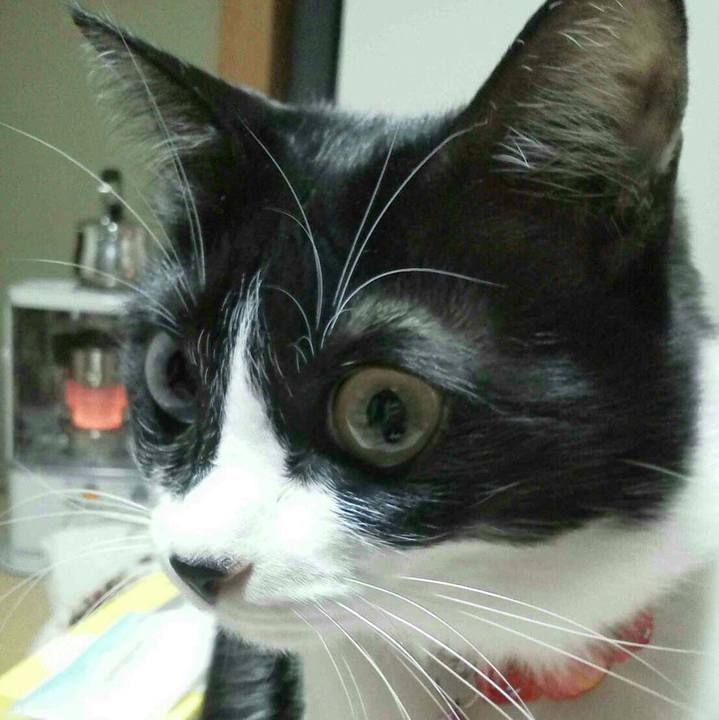 A3321c36 762e 4b7a b138 84a6e90fad03