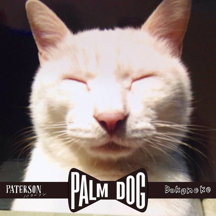 A33241dd 1654 4a58 a0ad a51748675c37