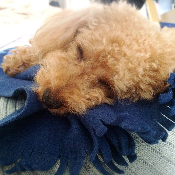 A332b590 b403 499b 89a8 78385ea028f1