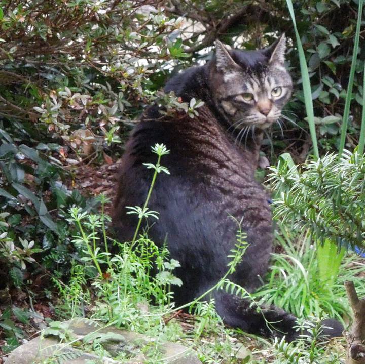 A332b677 9d30 4044 b17e 0765a53dc755