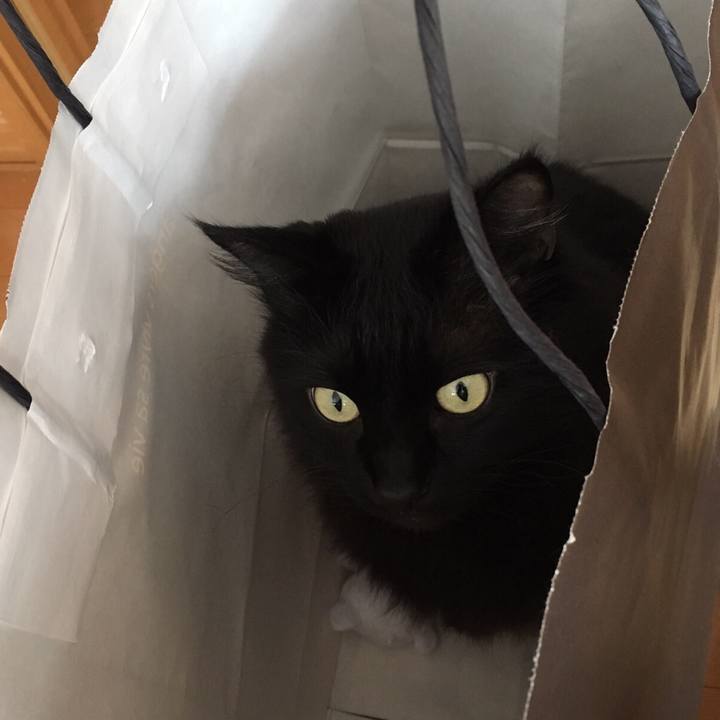 A3332beb 14ee 4b90 ae0f 8104015f39d0