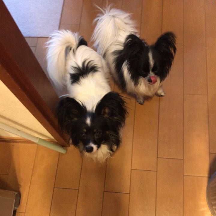 A333fa16 184b 419e 9cf1 28e449c0933b