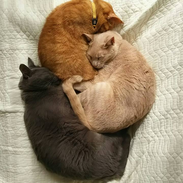 A334a574 ded9 4565 a6dc 15eb6ff4ab71