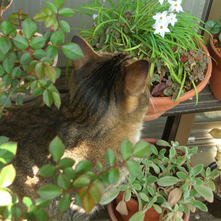 A3351d79 0f3d 400e 9b95 2ce1862970cc