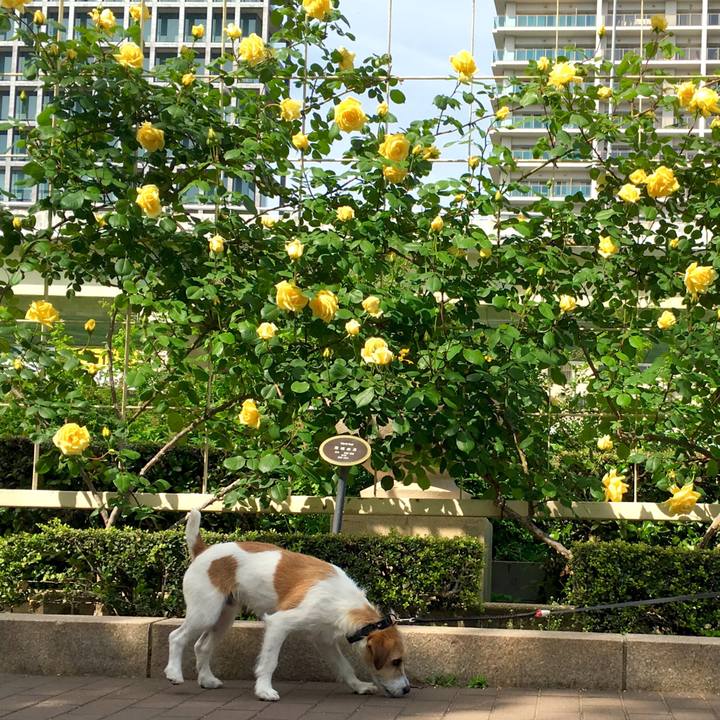 A3356b49 4ea9 43f3 b7bd 9e5dbd227510