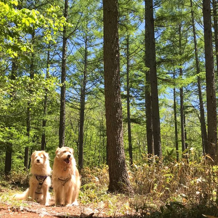 A336264e 0192 4d51 a725 8d819360ca6e