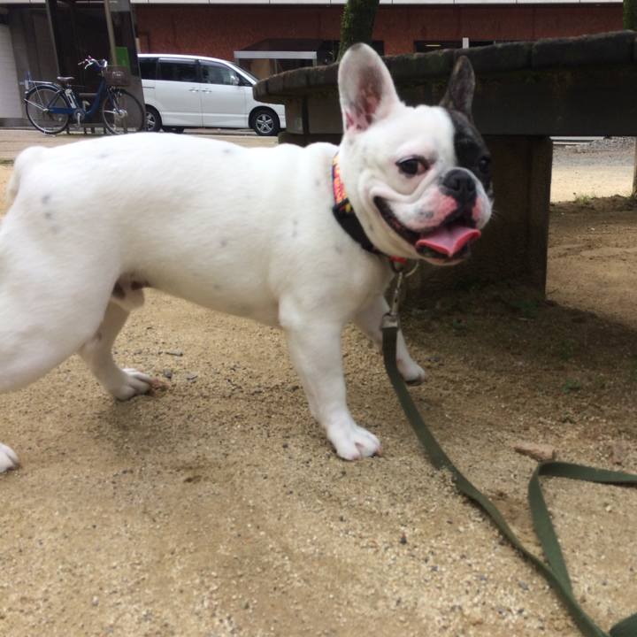 A336d84c 9bba 4d1d 84a4 9235acd086aa