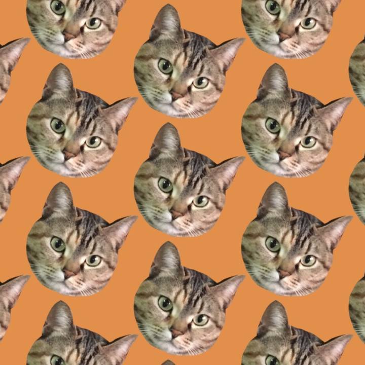 A3372997 775d 4322 a407 869a55464f8e