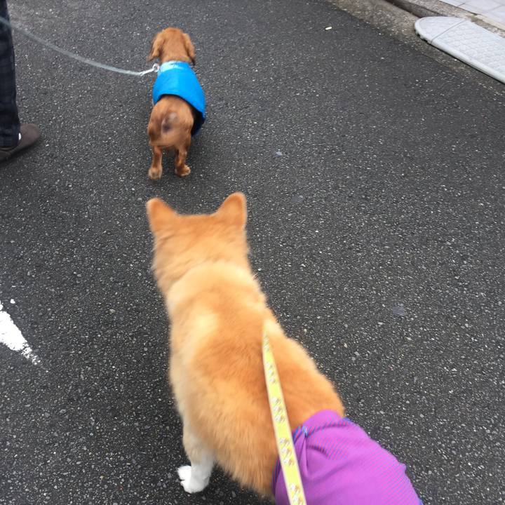 A33747b3 df3a 4eca 9287 d70803510c1e