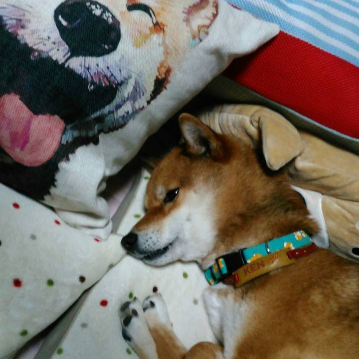 A3375ba1 db5d 482c a3c6 dc2e8802c1e8