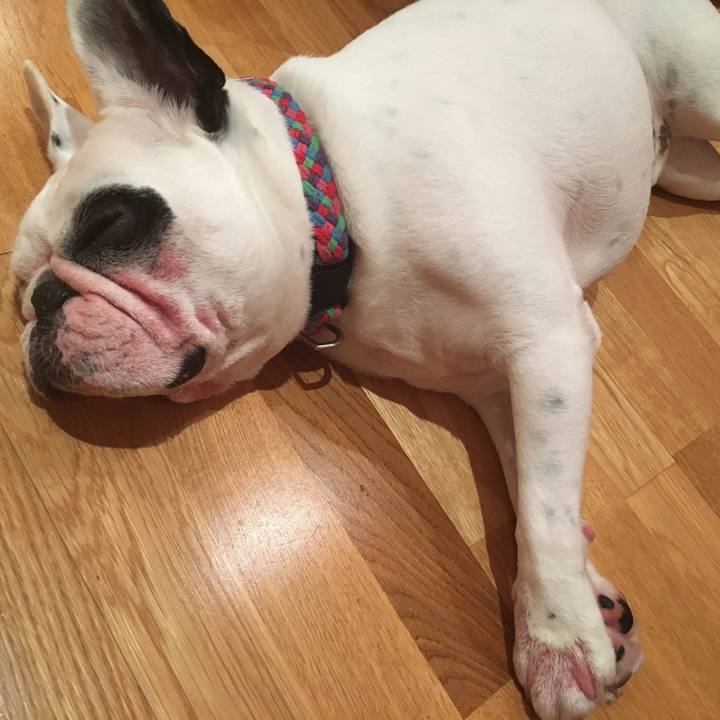 A3378967 c650 479f aa2b aa195aa27071