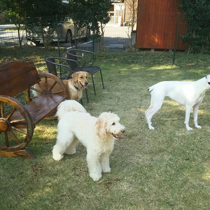 A337b13e 7480 47e7 b186 38e0d68872d9