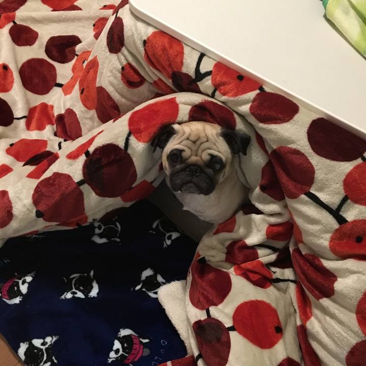 A338522e 1510 4a30 bd29 7c01efdee53d