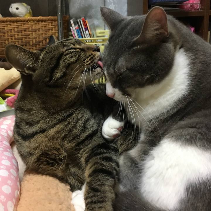 A3393244 b02e 443e bc42 56d8ccf54955