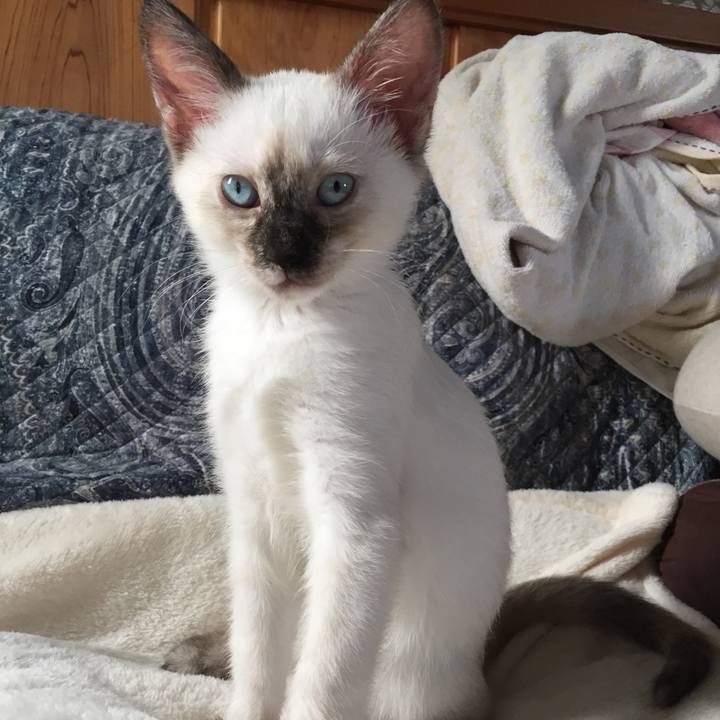 A33ac9e8 077a 44cc 803f c57f7c7d2112