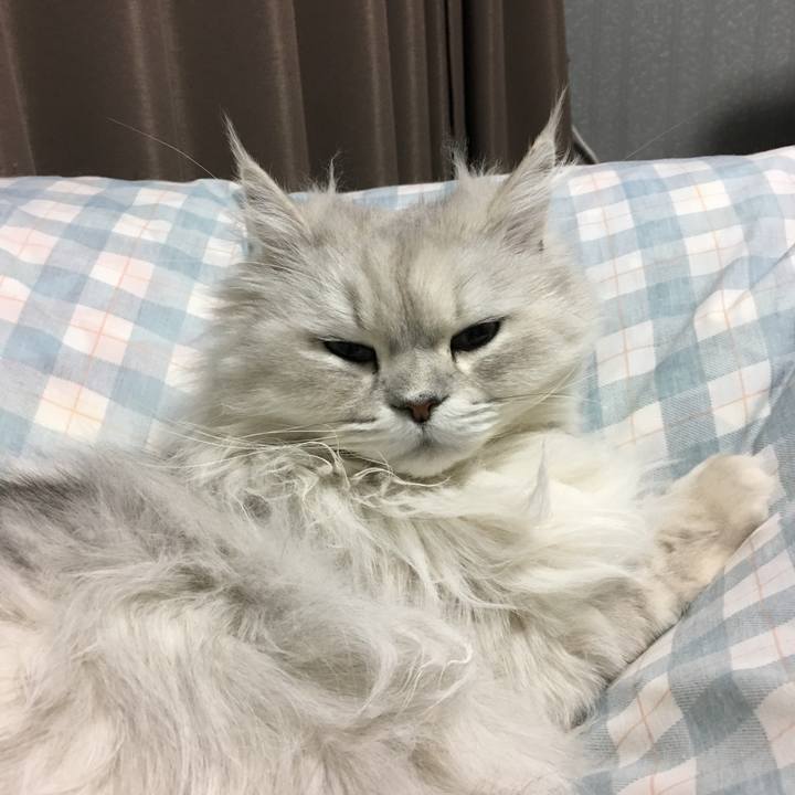 A33b07f2 57d2 423c bf6d bf0e66240f21