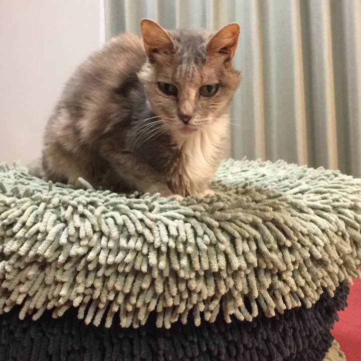 A33b2545 7e35 4c04 bd44 e9513f2552bd