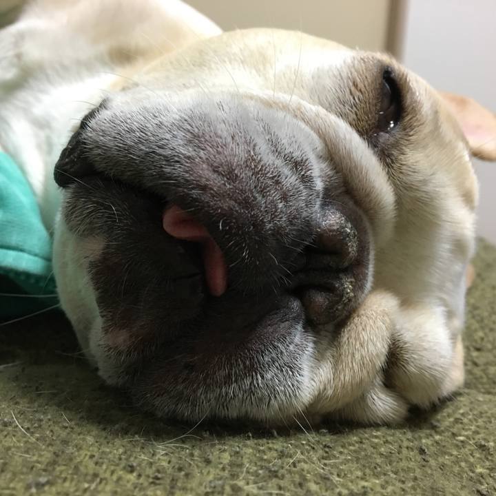 A33c7202 e71b 408c a43e d69bc7e7ff55