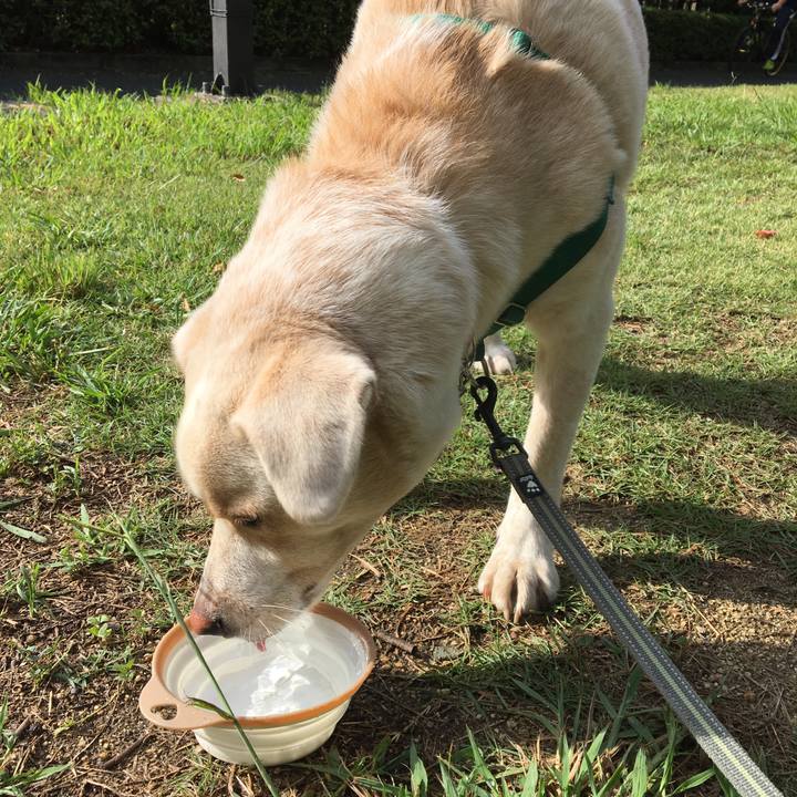 A33d066b 44d3 45f5 ade1 f2c41a654eff