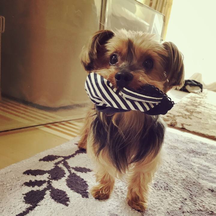 A33d321c 3f2d 4e74 987f c8d84dd59e40