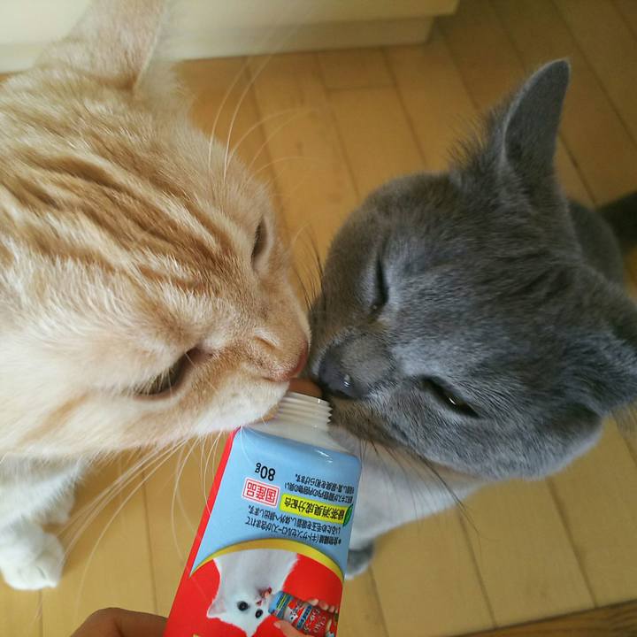 A33d4c54 10d0 4929 908b adfb8e22f888