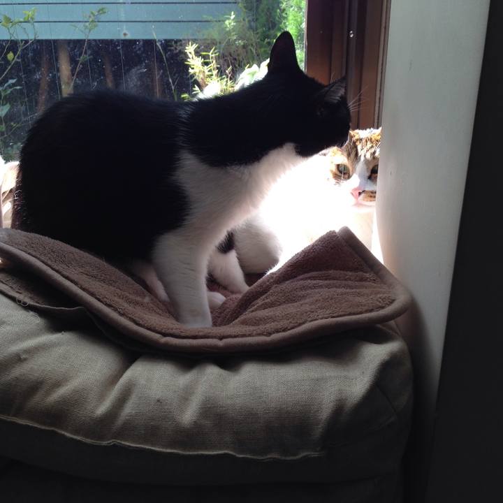 A33f1136 b3cb 4f00 bcee 98d54d3726f9