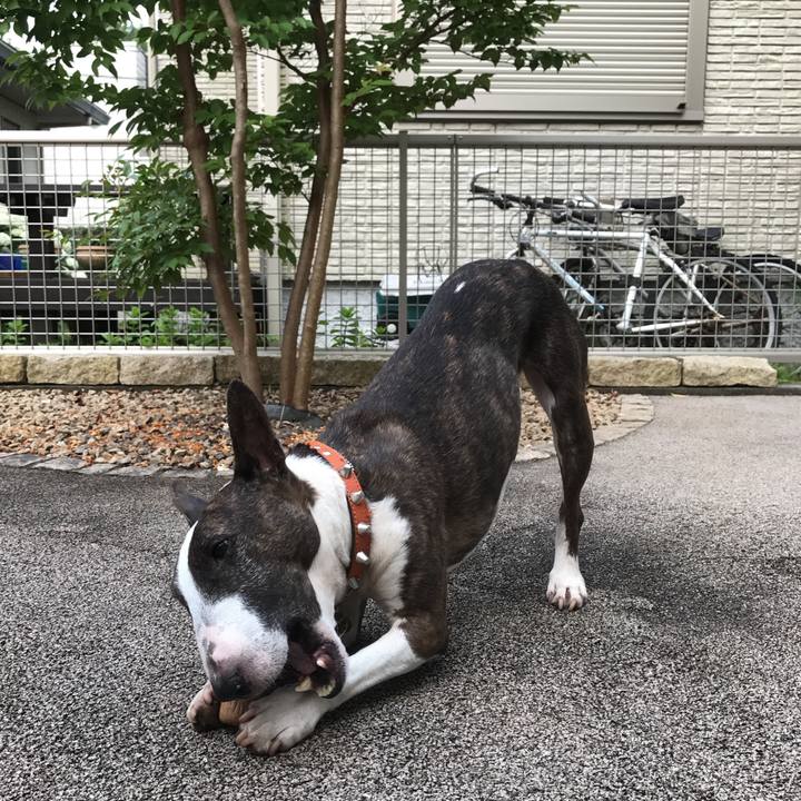 A33fcd90 aa98 4a5f 9cc2 76fa5e9c202c